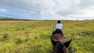 Terevaka Horse Excursion: The highest point and 360° view. - Easter Island Pickup and the 150-Minute Flow