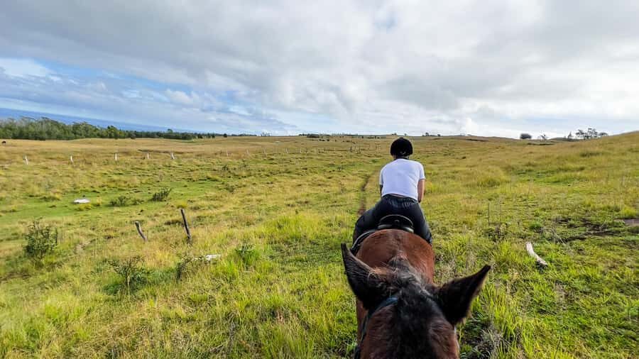 Terevaka Horse Excursion: The highest point and 360° view. - Easter Island Pickup and the 150-Minute Flow