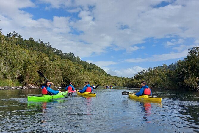 Tour Guiado en Kayak por Rio Maullin / Medío dia en Pto. Varas - Break time in the river: snack, quick swim, and real recovery