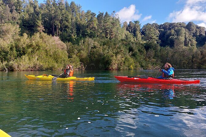 Tour Guiado en Kayak por Rio Maullin / Medío dia en Pto. Varas - Volcán Osorno and Lago Llanquihue: a scenic warm-up that makes sense