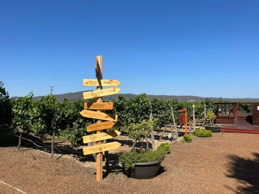 Valparaíso to Casablanca: wine tour with premium tasting and transportation - Key things I’d prioritize before you book