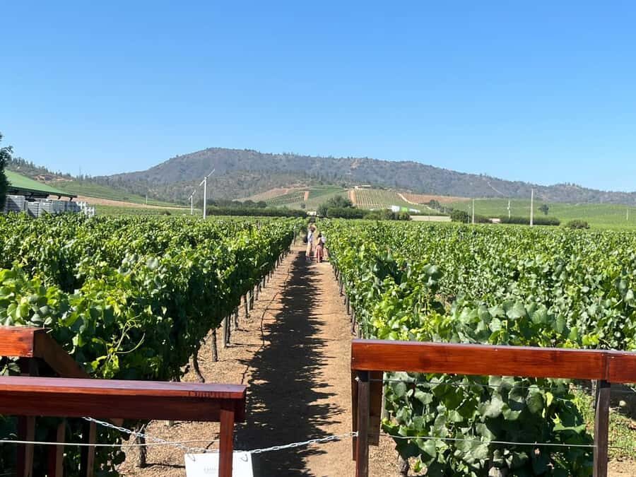 Valparaíso to Casablanca: wine tour with premium tasting and transportation - Why Valparaíso to Casablanca feels like a smart half-day
