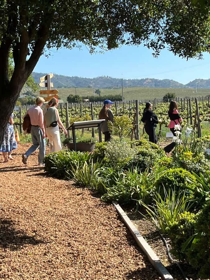 Valparaíso to Casablanca: wine tour with premium tasting and transportation - Value check: does $127 make sense for what you get?
