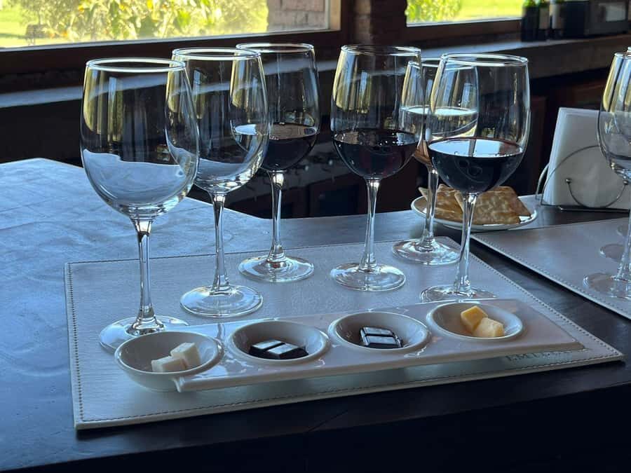 Valparaíso to Casablanca: wine tour with premium tasting and transportation - Getting to Casablanca Valley: the part you’ll be glad you didn’t plan