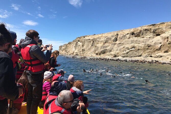 Walk alongside Penguins on Magdalene Island and navigate Marta Island - Marta Island circumnavigation: what you can expect from the boat